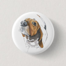 Lovable Close Cute Basset Hound