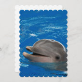 Lovable Dolphin Kaart (Voorkant / Achterkant)