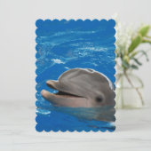 Lovable Dolphin Kaart (Staand voorkant)