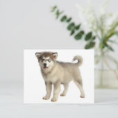 Love Alaskan Malamute Puppy Dog Briefkaart (Staand voorkant)