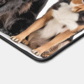 Love All Breeds (Coin)