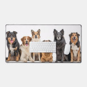 Love All Breeds (Clavier et souris)