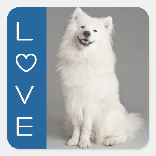 Love American Eskimo Chien Chien Chien Sticker / É (Devant)