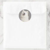 Love American Eskimo Chien Chien Chien Sticker / É (Sac)