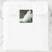 Love American Eskimo Chien Chien Chien Sticker / É (Sac)