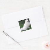 Love American Eskimo Chien Chien Chien Sticker / É (Enveloppe)