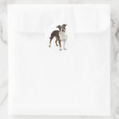 Love American Staffordshire Sticker pour chien Ter (Sac)