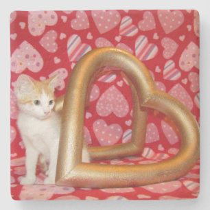 Love, Annie, Kitten, Cat Onderzetter