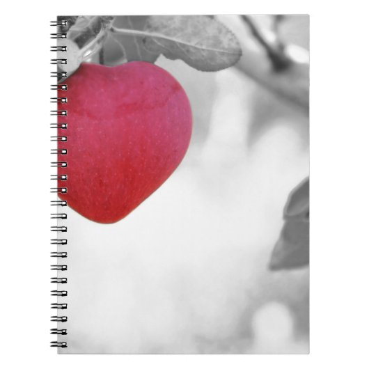 Love Apple Notitieboek (Voorkant)