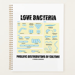 Love Bactéries Distributeurs Prolifiques De Cultur