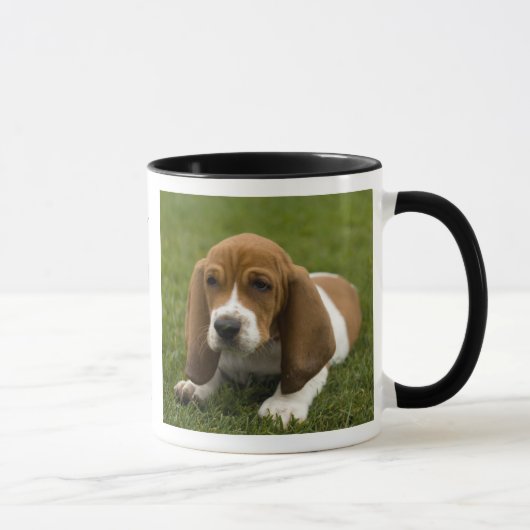 Love Basset Hound Puppy Ringer Coffee Mug (Droite)