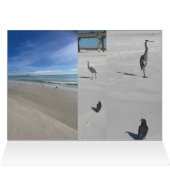 Love Beach (Intérieur Horizontal (Haut))