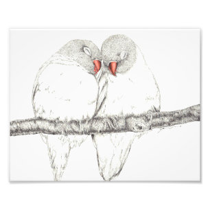 Love Birds Foto Afdruk