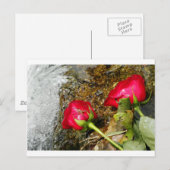 Love Bites Briefkaart (Voorkant / Achterkant)