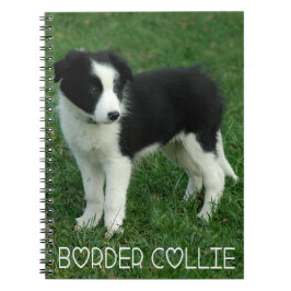 Love Black & White Border Collie Puppy Dog Journal Notitieboek