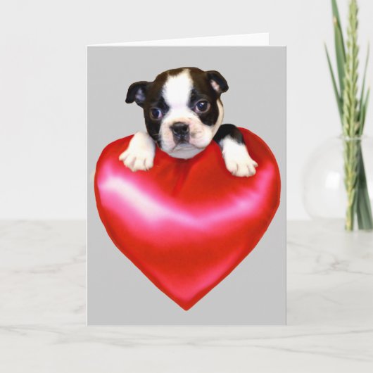 Love Boston Terrier wenskaart Kaart (Voorkant)