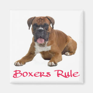 Love Boxer Puppy Dog Fridge Magnet Magneet