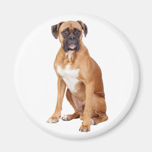 Love Boxer Puppy Dog Fridge Magnet Magneet