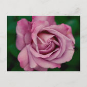 Love Briefkaart (Voorkant)