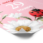 Love Bug Daisy Birthday Photo Milestone Poster (Coin)