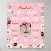 Love Bug Daisy Birthday Photo Milestone Poster (Devant)