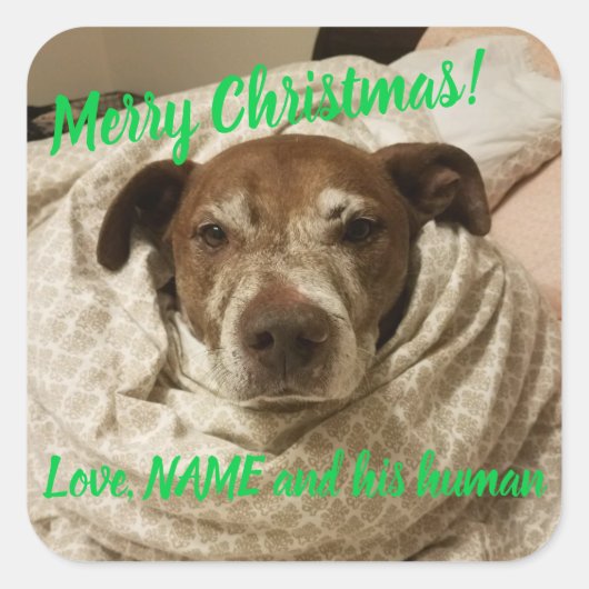 Love Bullet en zijn mens Vierkante Sticker (Voorkant)