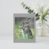 Love Bunny Hug Briefkaart (Staand voorkant)