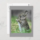 Love Bunny Hug Briefkaart (Voorkant / Achterkant)