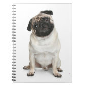 Love Carlin Puppy Dog White Notebook / Journal (Devant)