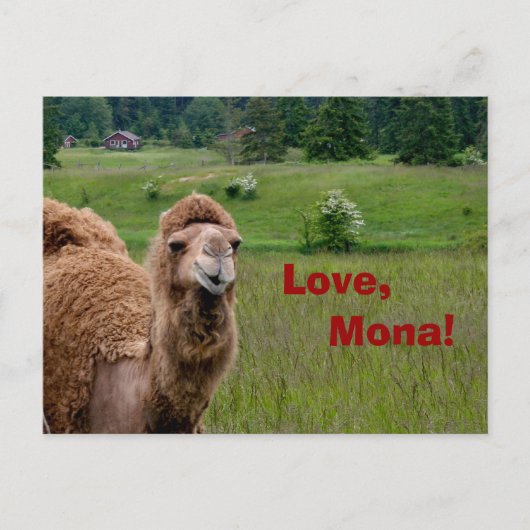 Love, carte postale Mona (Devant)