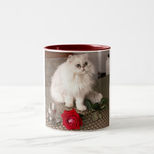 Love Cat I Mok - (Center)