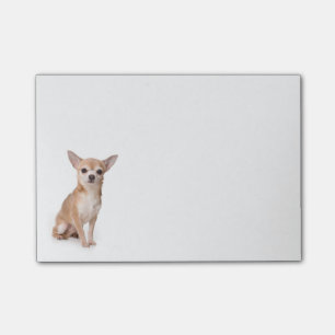 Love Chihuahua Puppy Dog Post IT Sticky Notes