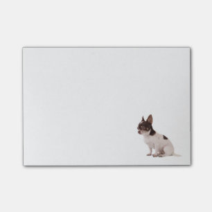Love Chihuahua Puppy Dog Post IT Sticky Notes