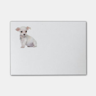 Love Chihuahua Puppy Dog Post IT Sticky Notes