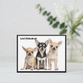 Love Chihuahuas briefkaart (Staand voorkant)