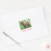 Love Chow Chow Chien Chien Stickers de voeux (Enveloppe)