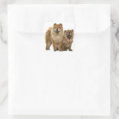 Love Chow Chow Chien Chien Stickers de voeux (Sac)