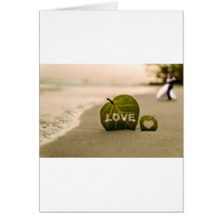 Love Coast Love
