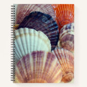 Love Coques Carnet Spiral (Devant)