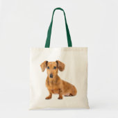 Love Dachshund Puppy Dog Canvas Canvas tas (Voorkant)