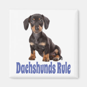 Love Dachshund Puppy Dog Fridge Magnet Magneet