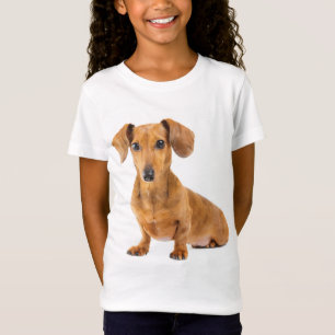 Love Dachshund Puppy Dog Tee Shirt