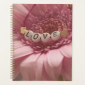 Love Daisy (Devant)