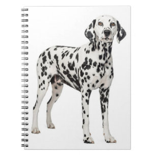 Love Dalmatian Puppy Dog - Spotfire Dog Notitieboek