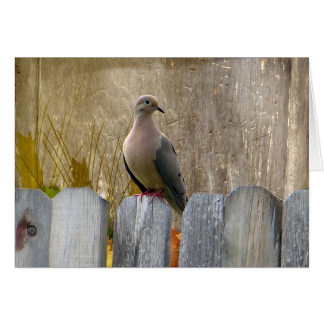 Love Dove  (Voorkant Horizontaal)