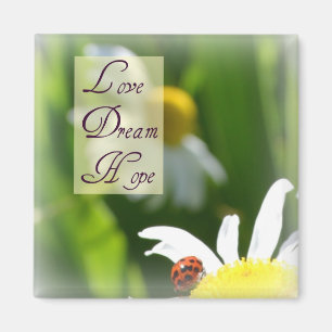 Love, Dream, Hope Ladybug Magnet Magneet