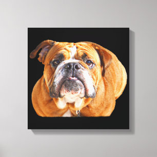 Love English Bulldog Dog Face - Brown Mascot Canvas Afdruk