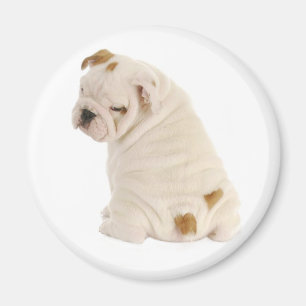 Love English Bulldog Puppy Dog Magnet Magneet