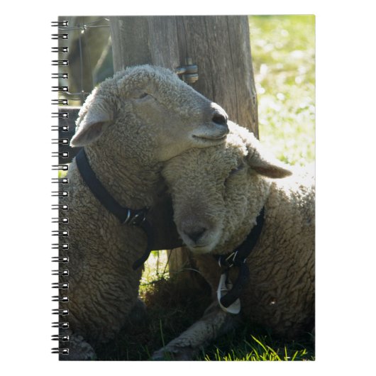 Love Ewe Sheep Notitieboek (Voorkant)