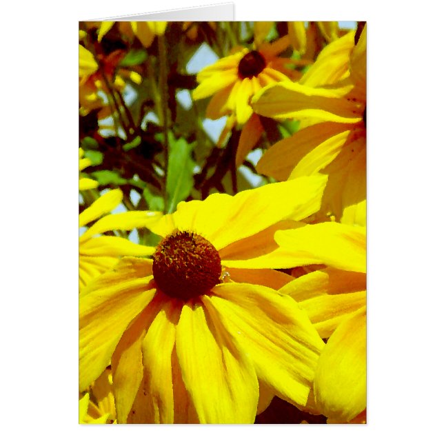 Love Flower_ (Voorkant)